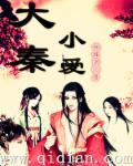 大秦小宴简介