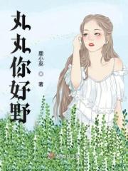 丸丸你好野