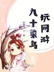 九十菜鸟玩网游