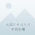 灵魂摆渡之绮梦渡魂
