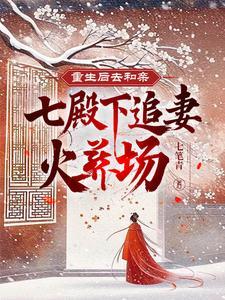 重生后去和亲，七殿下追妻火葬场