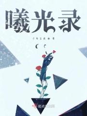 曦光录